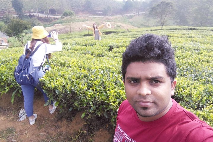 Hoteller i nærheden af Kandy to Ella Scenic Road Trip and Train Ride Tour