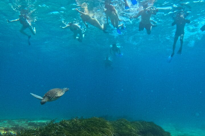 paphos:turtle-watching snorkeling sea scooter trip with guide