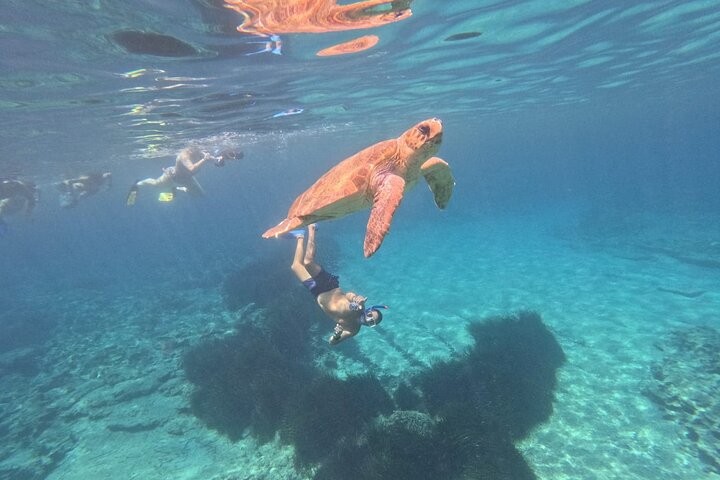 paphos:turtle-watching snorkeling sea scooter trip with guide