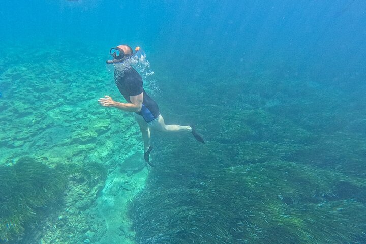 paphos:turtle-watching snorkeling sea scooter trip with guide