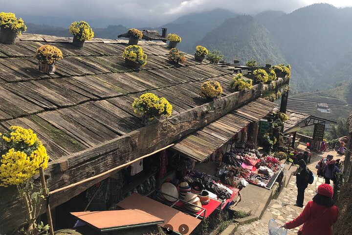 Villaggio dei gatti, Moana, Fansipan Cable, Alpine Coaster Sapa Tour