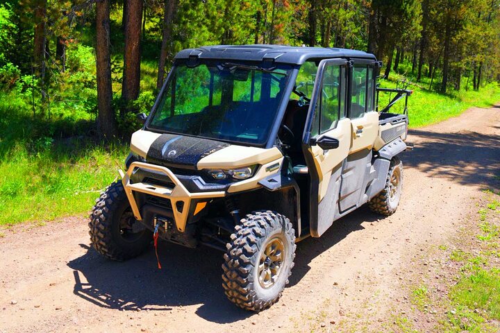 Begeleide ATV Adventure : Island Park (20 minuten van West Yellowstone)
