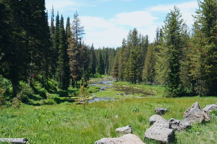 Begeleide ATV Adventure : Island Park (20 minuten van West Yellowstone)