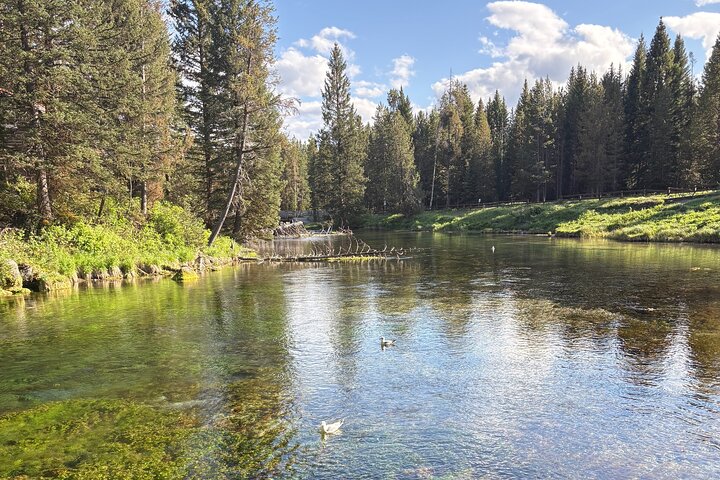 Begeleide ATV Adventure : Island Park (20 minuten van West Yellowstone)