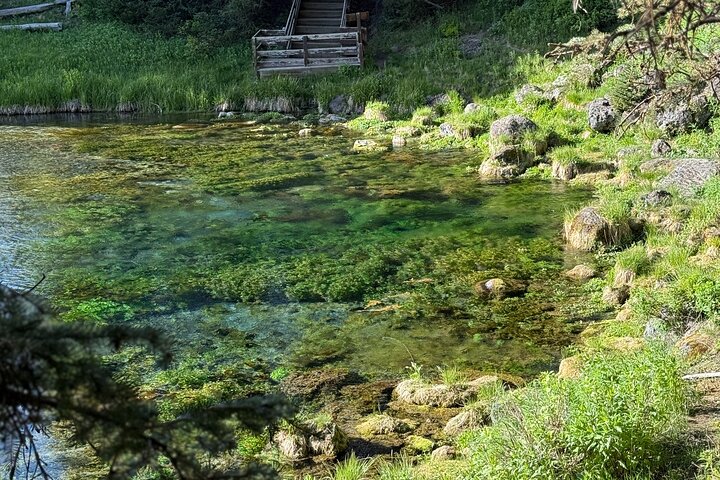 Begeleide ATV Adventure : Island Park (20 minuten van West Yellowstone)