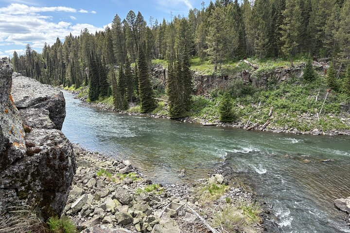 Begeleide ATV Adventure : Island Park (20 minuten van West Yellowstone)
