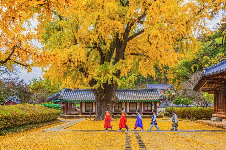 Experiência genuína da Coreia-Jeonju, Maisan, Damyang, Templo de Seonamsa