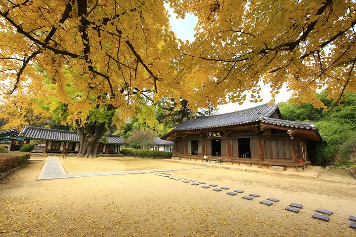 Experiência genuína da Coreia-Jeonju, Maisan, Damyang, Templo de Seonamsa