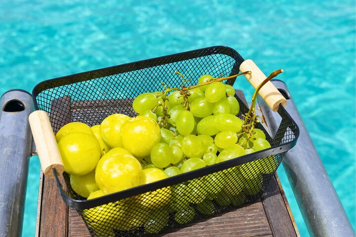 Tour Isole Egadi Favignana Levanzo in Barca con Pranzo da Trapani