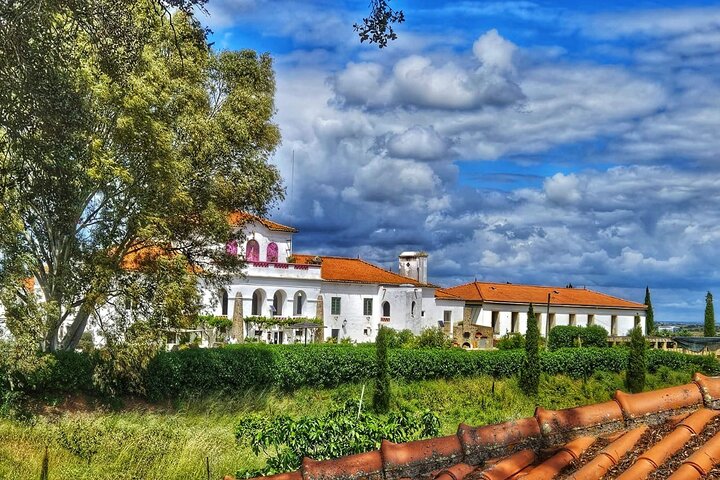 Mértola Vin- og Tapasoplevelse på en Skjult Alentejo-gods