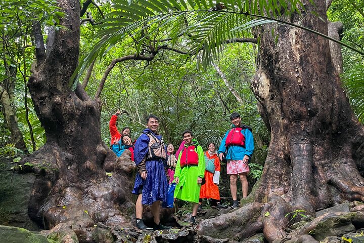Het avontuur van Iriomote: Pinaisara Falls kano- en trektocht