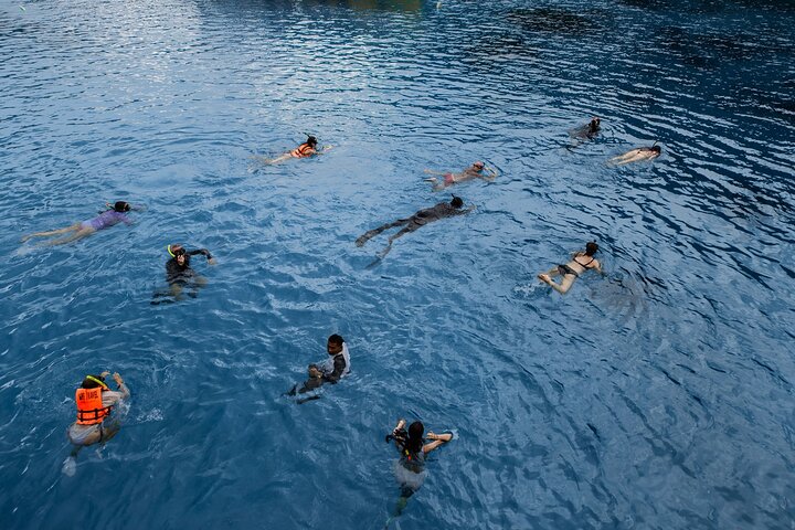 Escursione di un giorno a Koh Tao e Nang Yuan da Koh Pha Ngan