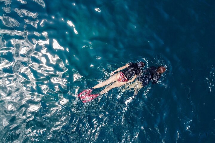 Escursione di un giorno a Koh Tao e Nang Yuan da Koh Pha Ngan