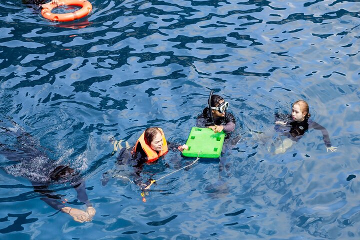 Escursione di un giorno a Koh Tao e Nang Yuan da Koh Pha Ngan