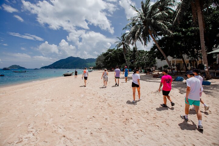 Escursione di un giorno a Koh Tao e Nang Yuan da Koh Pha Ngan