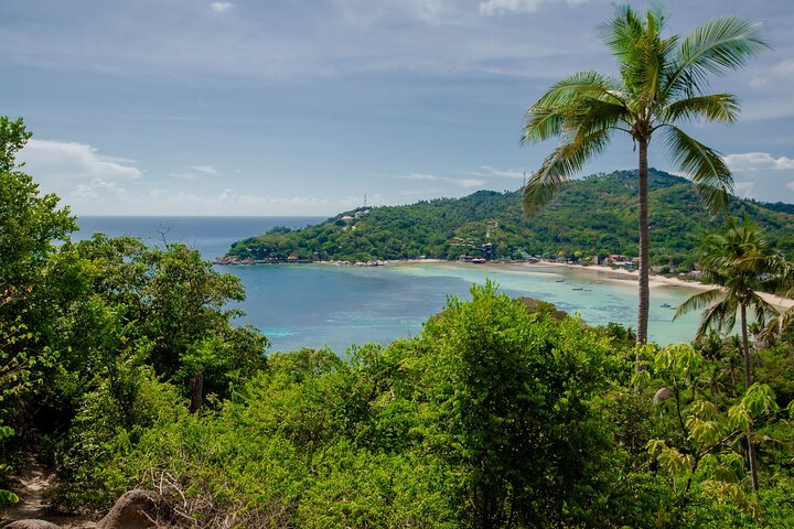 Escursione di un giorno a Koh Tao e Nang Yuan da Koh Pha Ngan