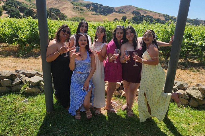 Excursão vinícola com tudo incluído para grupos pequenos em Solvang Santa Ynez Valley