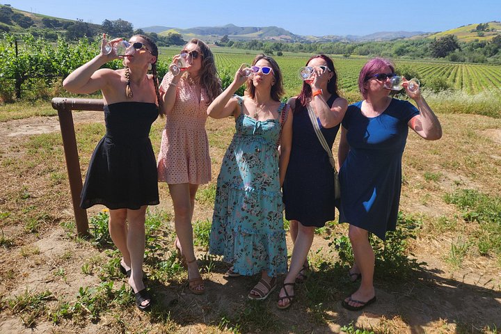 Excursão vinícola com tudo incluído para grupos pequenos em Solvang Santa Ynez Valley