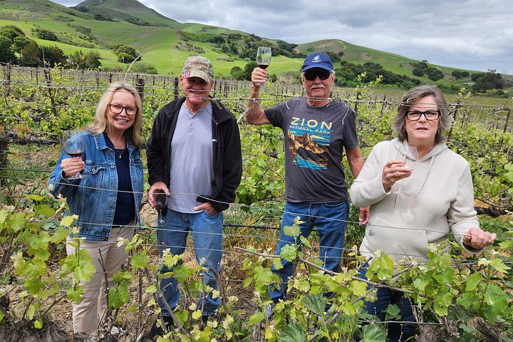 Excursão vinícola com tudo incluído para grupos pequenos em Solvang Santa Ynez Valley