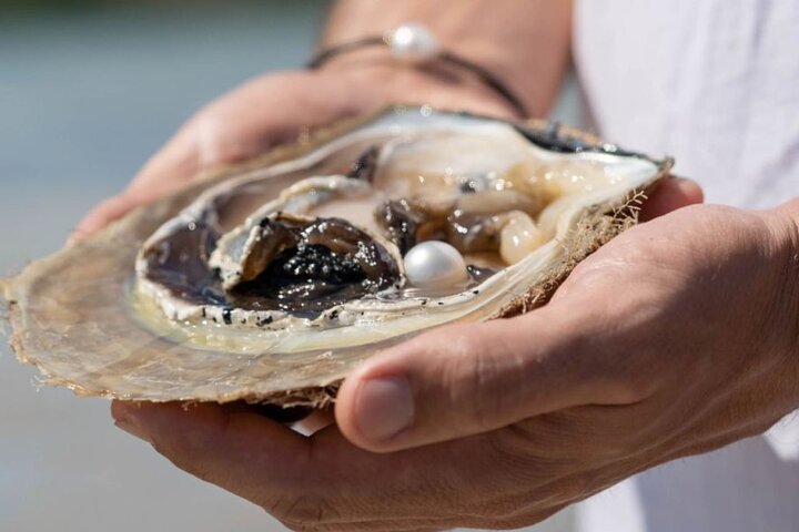 Tour por la ciudad de Broome : Descubre Broome, Playas & Historia