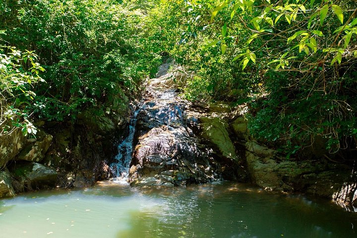 Koh Phangan ATV Off-Road Ride attraverso la natura