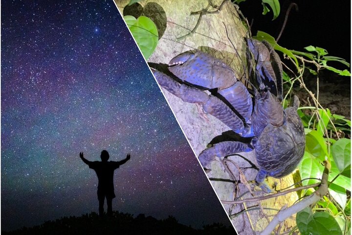 Okinawa Miyako Jungle&Starry Sky Tour Kostenlose Abholung und Rückgabe