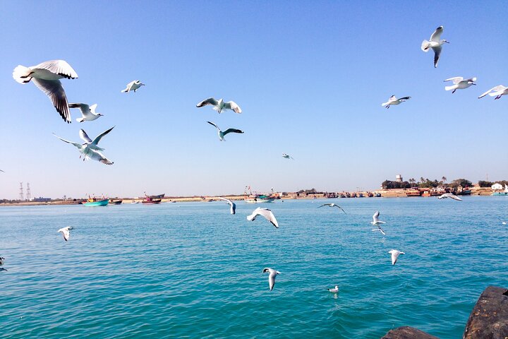 4-daagse privétour door Somnath Jyotirlinga en Dwarka