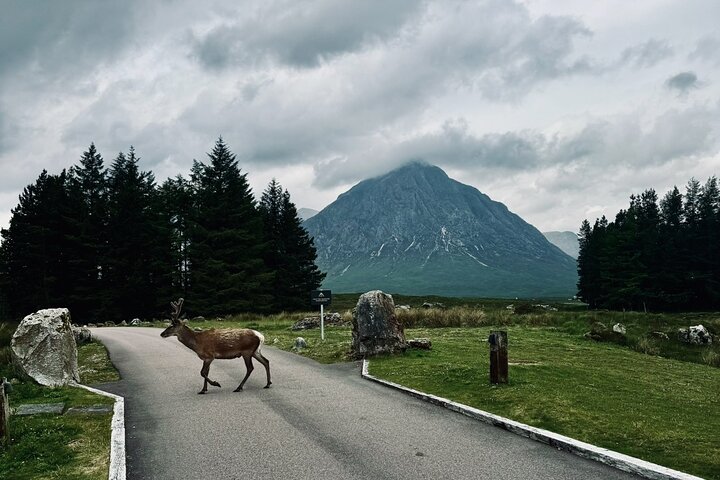 Glencoe og Glen Nevis Private Halvdagstur fra Fort William