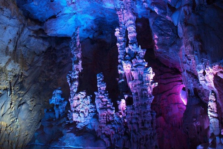 Alicante:Cuevas del Canelobre y Castillo de Busot con Guía Local