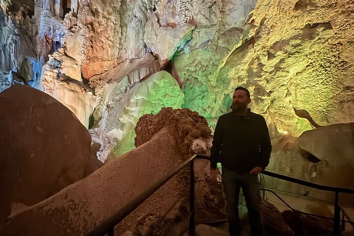 Alicante:Cuevas del Canelobre y Castillo de Busot con Guía Local