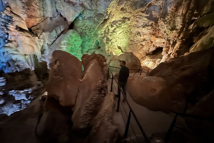 Alicante:Cuevas del Canelobre y Castillo de Busot con Guía Local