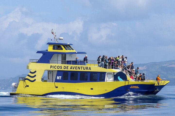 Tour di osservazione delle balene delle Azzorre – Ponta Delgada