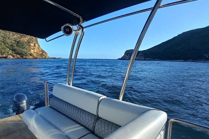 Knysna Heads & Lagoon Båtkryssinger - 75 min naturskjønne opplevelse