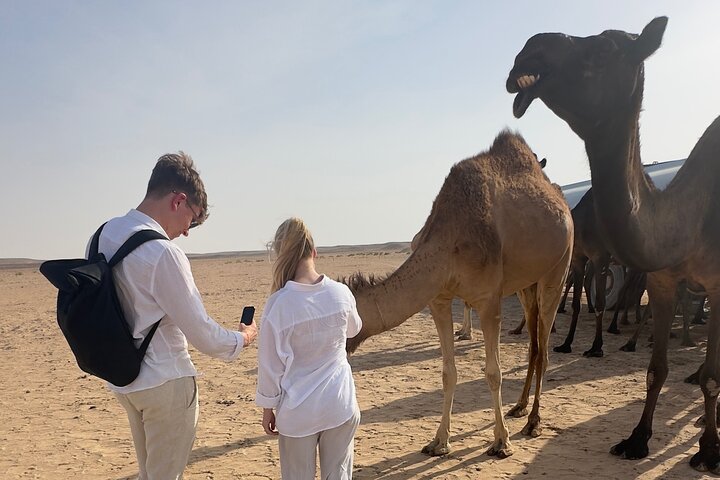 Sunset desert safari tour in Salalah(private tour)