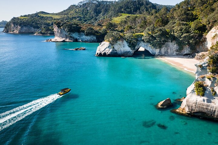2 timers bådtur til Cathedral Cove og vulkansk kyst