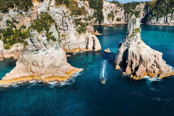 2 timers bådtur til Cathedral Cove og vulkansk kyst