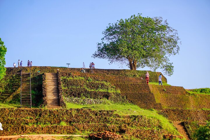 Sigiriya Hike & Minneriya Safari Privétour van een hele dag