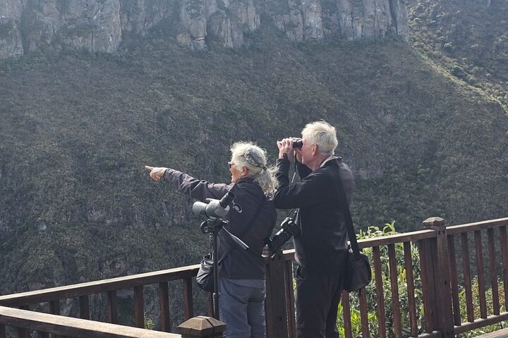 Excursão de um dia ao Antisana Condor Sanctuary & Hummingbird Observatory