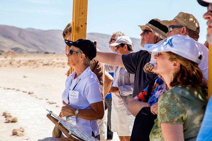 Visite du lac Chungará et du parc de Lauca au départ d'Arica avec déjeuner