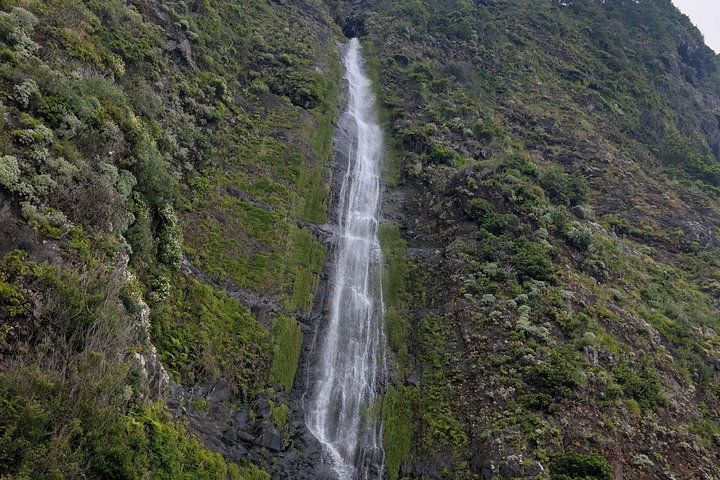 Floresta Fanal, Skywalk & Lava Pools: Expedição 4x4 da Madeira Ocidental