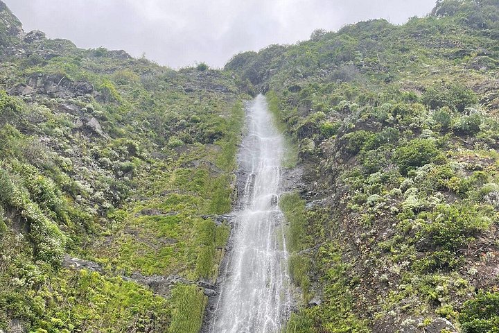Floresta Fanal, Skywalk & Lava Pools: Expedição 4x4 da Madeira Ocidental