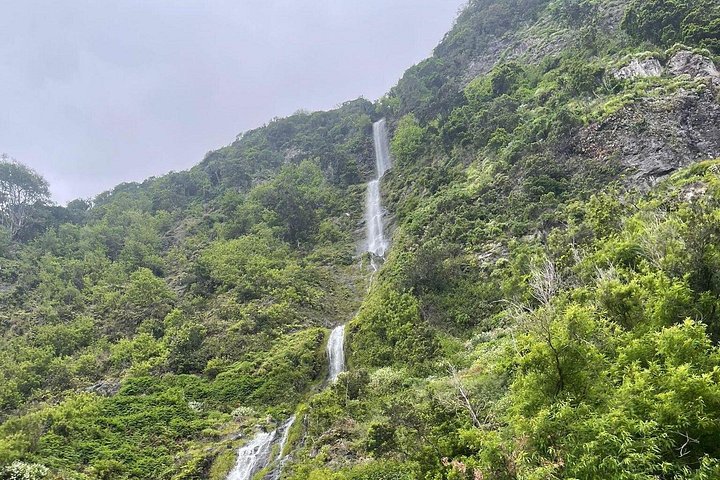 Floresta Fanal, Skywalk & Lava Pools: Expedição 4x4 da Madeira Ocidental