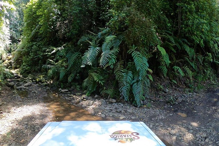 Floresta Fanal, Skywalk & Lava Pools: Expedição 4x4 da Madeira Ocidental