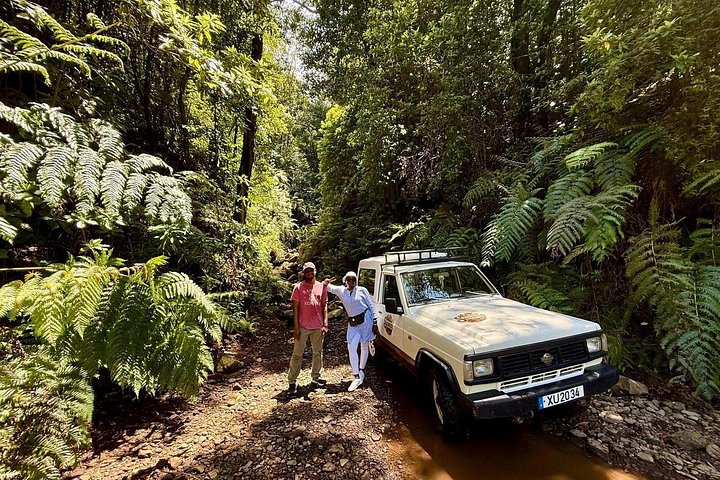 Floresta Fanal, Skywalk & Lava Pools: Expedição 4x4 da Madeira Ocidental