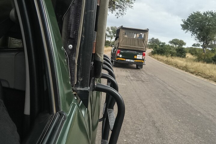 Kruger National Park Morning Safari Experience (minimaal 2 personen)
