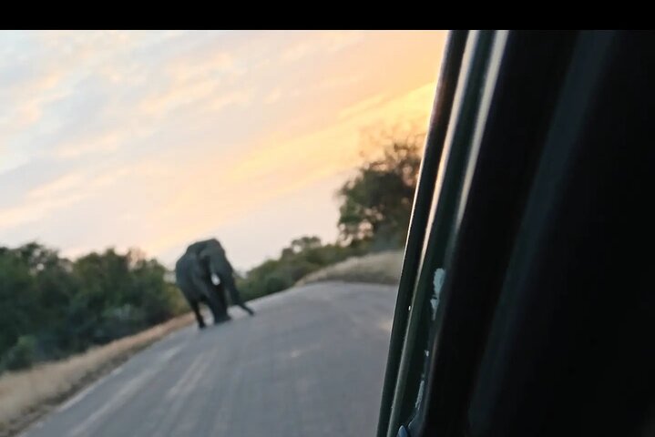 Kruger National Park Morning Safari Experience (minimaal 2 personen)