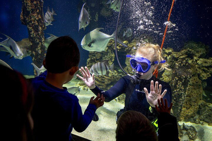 Een dag vol plezier in het Virginia Living Museum