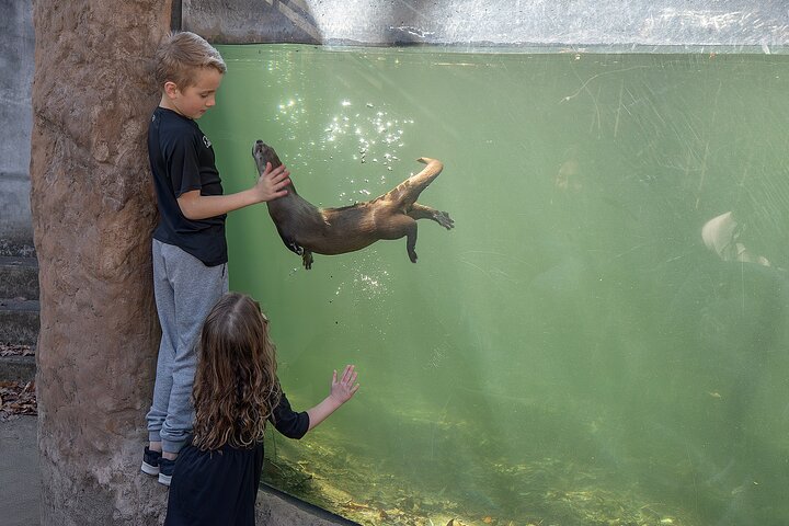 Een dag vol plezier in het Virginia Living Museum