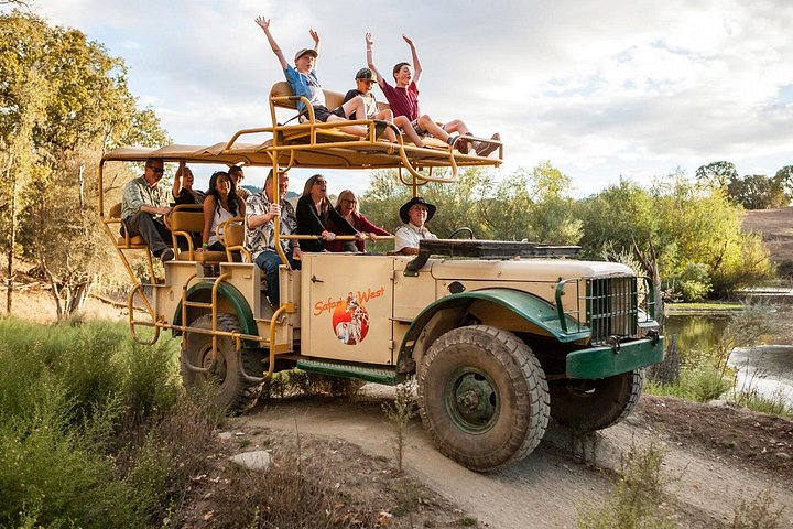 Klassiskt Safariäventyr på Safari Väst