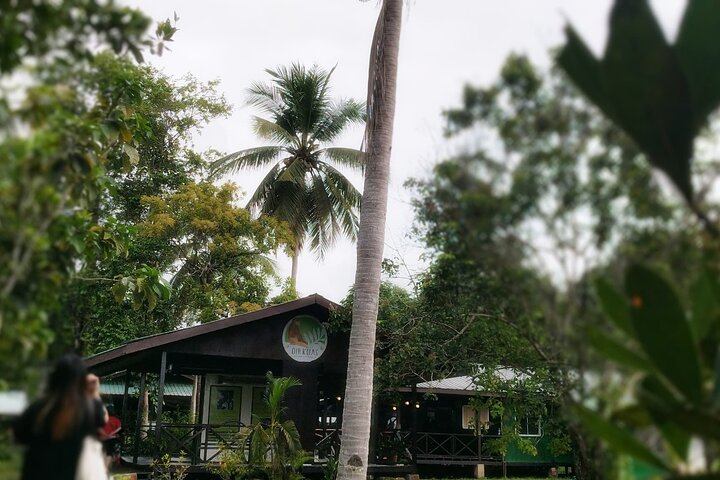 Cruzeiro pelo rio Borneo (Klias) e passeio pelos vaga-lumes